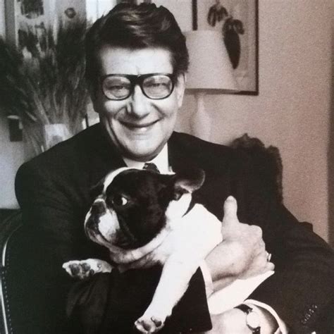 chien de yves saint laurent|Bouledogue français : la passion d'Yves Saint.